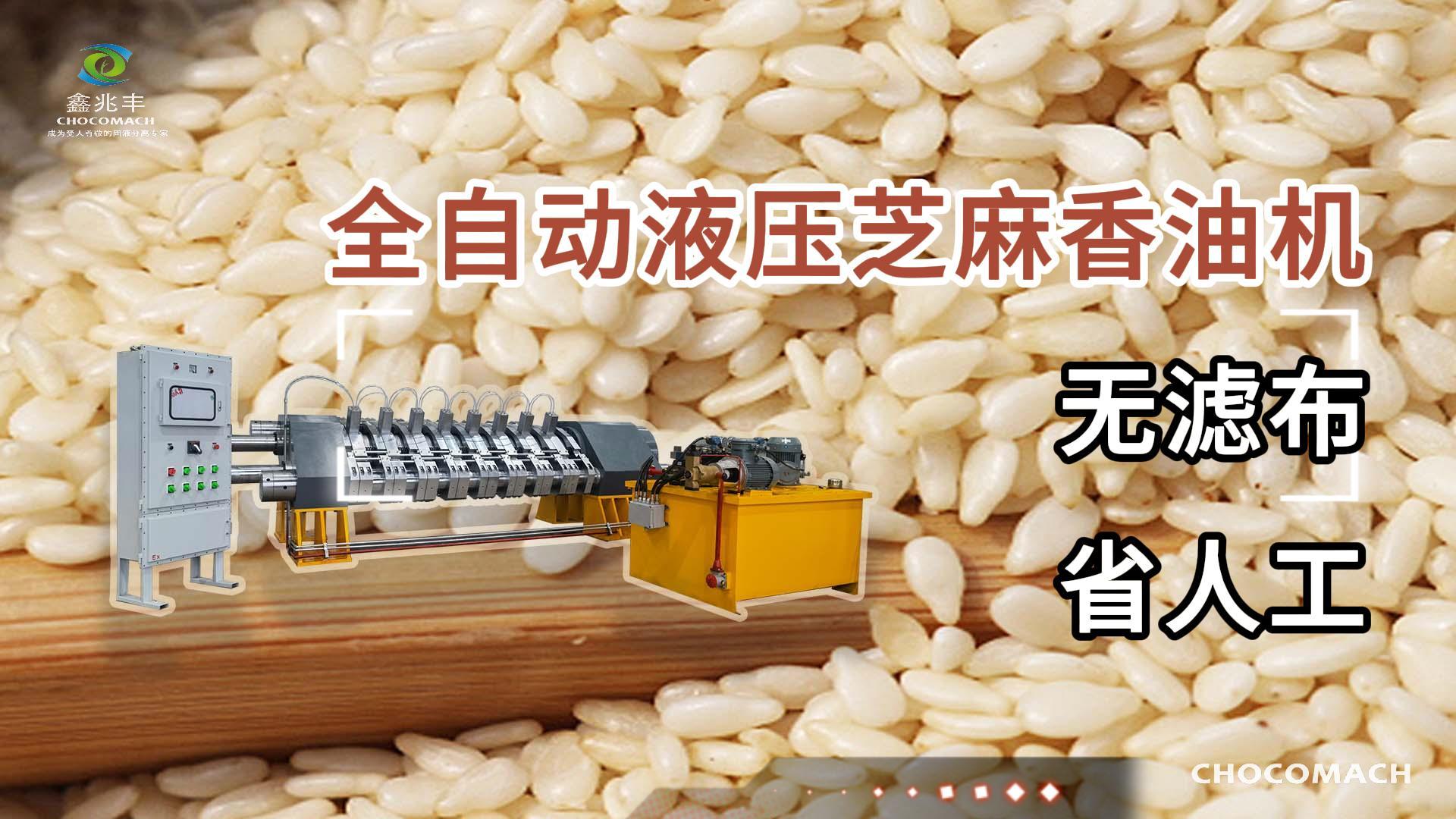 兆格環(huán)保YZYW全自動芝麻液壓榨油機/香油機