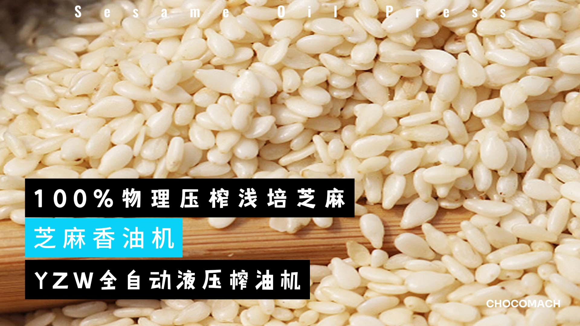 兆格環(huán)保YZW液壓榨油機一次物理原榨淺培芝麻仁